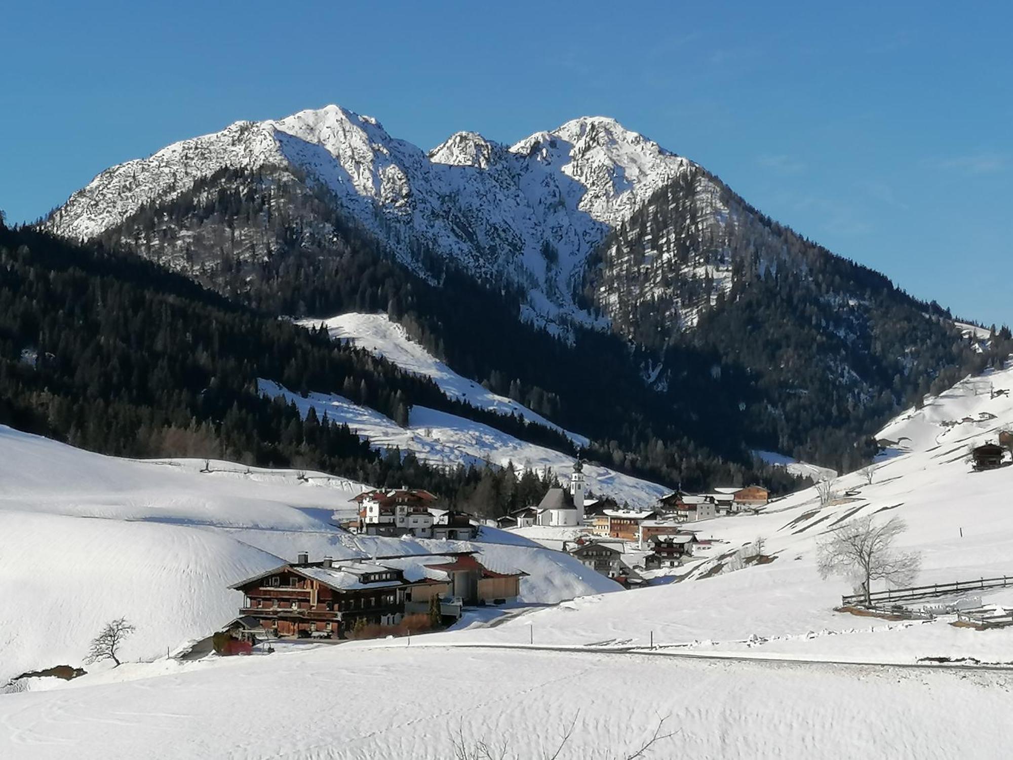 Wimmers Hundsegghof Wild001 Niederau Exterior photo